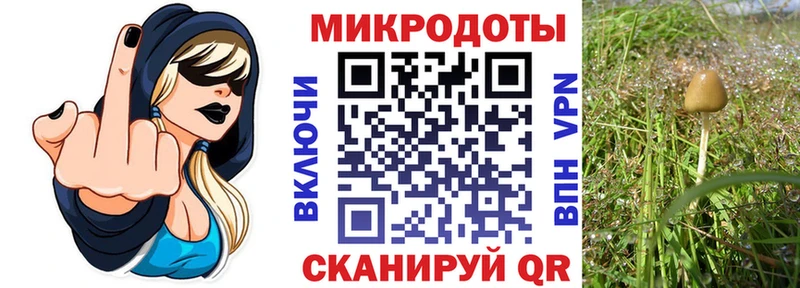 магазин    Мамоново  omg как зайти  Галлюциногенные грибы Magic Shrooms 